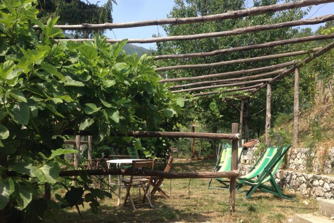 Agriturismo Di Charme E Ristorante Stallato Il Filo Di Paglia Carro Exterior foto